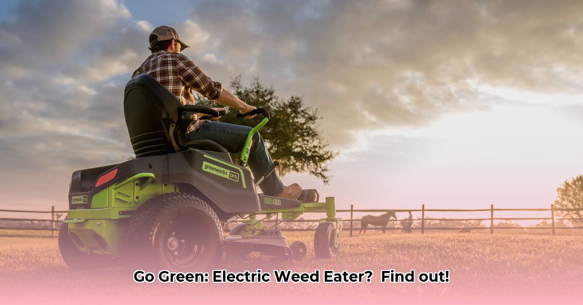 electric-weed-eater-tractor-supply